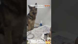 Yummy Food.#food #yummy #shorts #chicken #funny #dog #trending #youtubeshorts  #viral #shortvideo