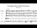 Js bach  cantata vergngte ruh beliebte seelenlust bwv 170 soloist andreas scholl