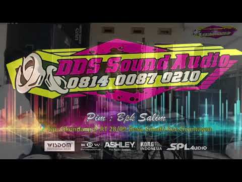 Andai - Putri (Edisi Latihan DDS Music)