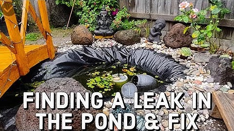How to Find and fix pond leaks. Pond Liner Repair.