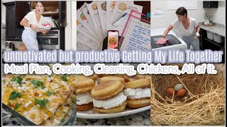 Unmotivated but Productive Getting My Life Together! Meal Plan, Cooking, Cleaning, Chickens, All Of screenshot 3