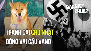 Chú chó Nhật Bản Shiba Inu vào vai 