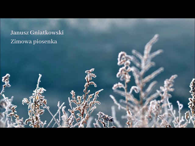 Janusz Gniatkowski - Zimowa piosenka