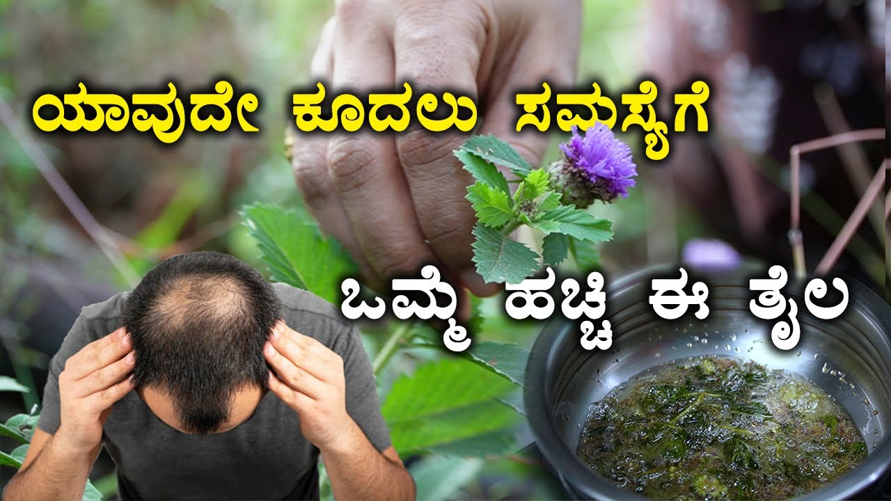 ಕನ್ನಡದಲ್ಲೇ  ಮೊದಲ ಬಾರಿಗೆ 99% ಜನರಿಗೆ ಗೊತ್ತಿಲ್ಲದ  ಈ ತೈಲ | Kesavardhini Hair Oil Recipe in Kannada