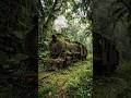 #bbc #bbcnews #explore #exploreindia #forest #steamengine #oldtrain #mountains #nature #shorts #ai
