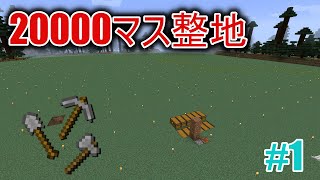 【マイクラ】作業厨でもない一般人が20000マスの整地をした結果＃1