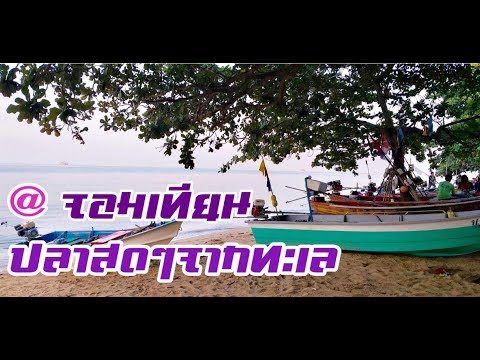 VLOG#12 แหล่งซื้ออาหารทะเลสดๆ  หาดจอมเทียน พัทยา ซื้อกับเรือชาวประมงพื้นบ้าน #ครอบครัวตัว อ