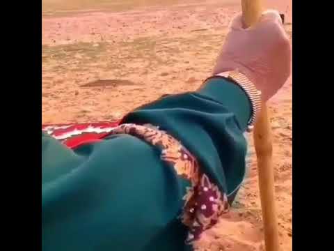 امي لاشافت خيالي تهلي