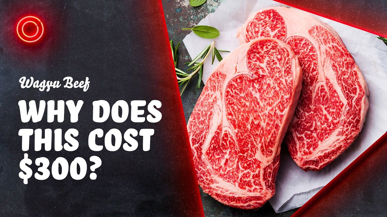 Why Wagyu Beef Is So Popular YouTube