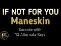 Mneskin  if not for you karaoke instrumental lower higher female original key