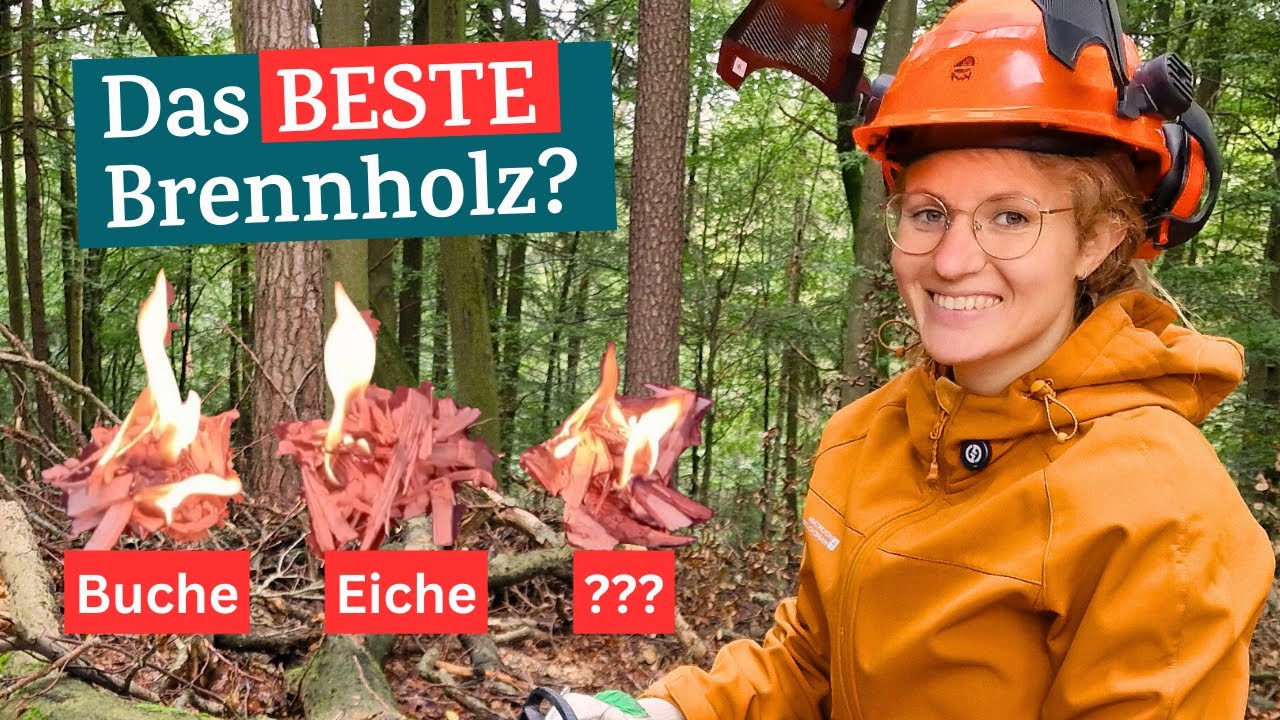 Welches Holz Brennt Am Längsten Welches Holz brennt am BESTEN im Kamin? (+Praxis-Test) - YouTube