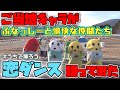 【恋ダンス再公開!!】‬‪ふなっしー率いるご当地キャラ軍団が一生懸命踊る「恋ダンス」再公開！