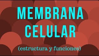 ¿Qué es la membrana celular y cuál es su función?