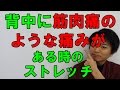 背中に筋肉痛のような痛みがある時のストレッチ