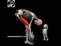 Have you amassed all the knowledgeyou need as a trainer?Can you look under the skin of