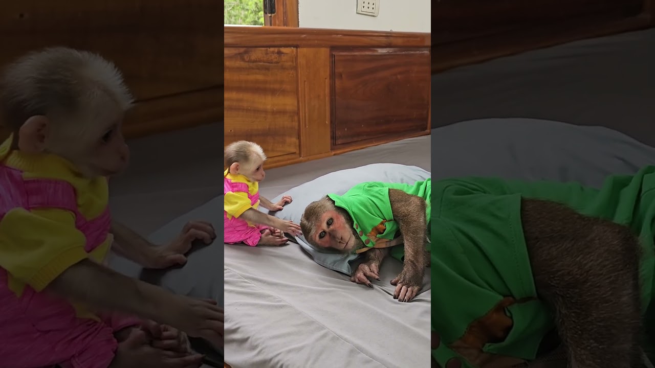 Su comes in to disrupt Kuku's sleep 2