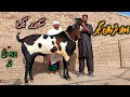 Visit of goat life line farm  ustad farhan gujjar