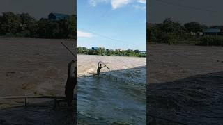 Amazing scoop net fishing ,fishnet fishing#fishing #traditional #scoopshot #shortvideo