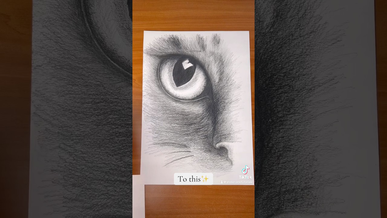 Trust the process-Cat eye detail 