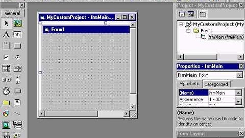 VB6 Creating a Custom Project
