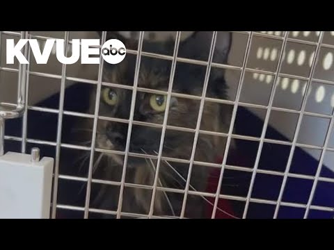 Anaconda Male Enhancement Product [PFgUDO8CJ2]