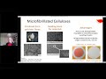 Road Towards Fully Cellulosic Barrier Materials: Possible Alternatives to Plastics (Caroline Locre)