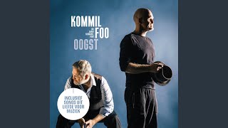 Video thumbnail of "Kommil Foo - Potvis"