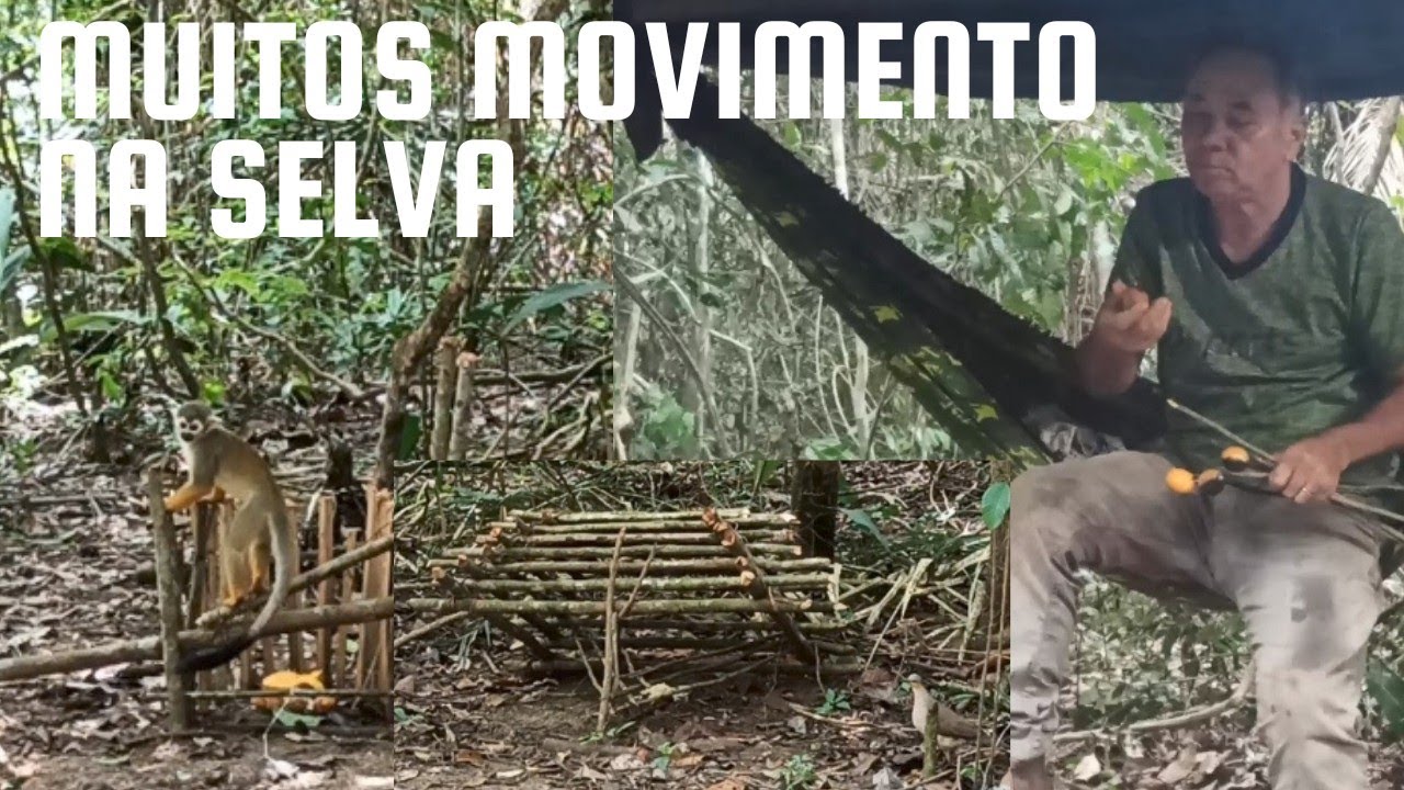DORMIR NA SELVA! COMO CONSEGUIR COMIDA na SELVA.