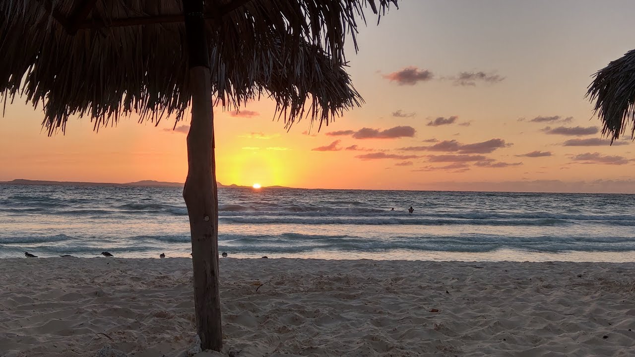 Записки отмороженного. Выпуск 12 - Viva Cuba libre