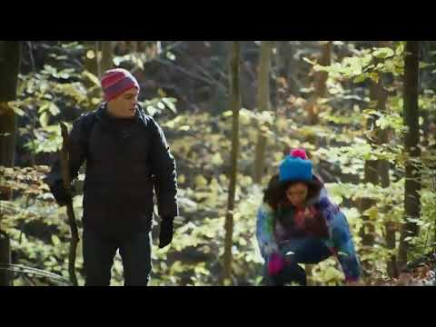 მზის მოლოდინში _ თითქოს მე ვგიჟდებოდე შენზე