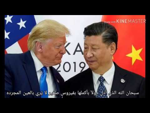 قصيدة بالسيوى عن فيرس كورونا