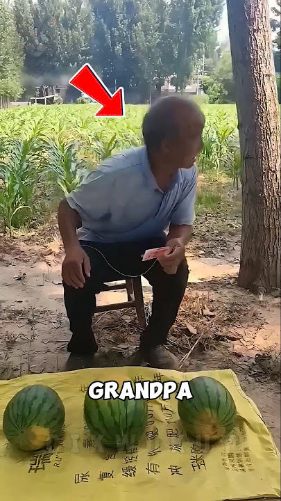 There Is Money Behind The Watermelon