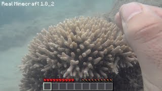 Real Life Minecraft - AMAZING CORAL! (Realistic Minecraft)