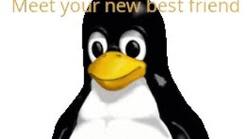 Your new friend Tux