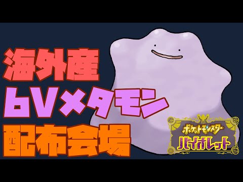 海外産6Vメタモン配布会場 【 #ポケモンSV】