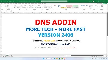 Tính năng Print Control trong DNS Addin 2406 - Nâng tầm in ấn hàng loạt