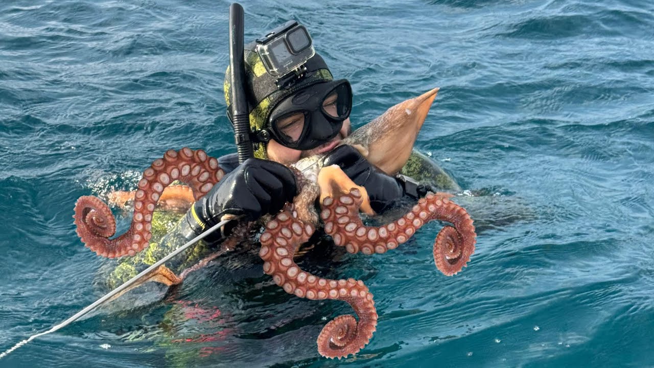 How I Catch Huge Octopus in Winter (Spearfishing Adventure)