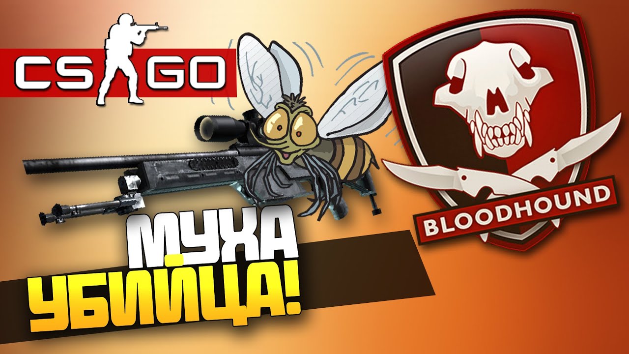 CS:GO - Эффективное прохождение! - МУХА УБИЙЦА! - (Bloodhound) #2 - YouTube
