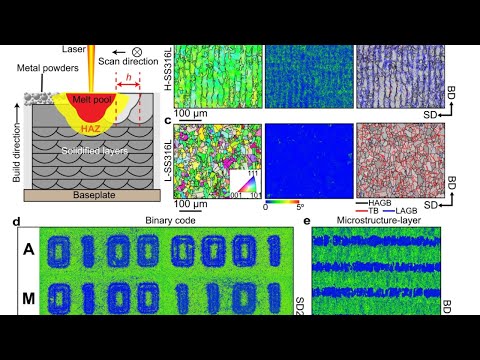 3D Printing News Unpeeled: Programmable Microstructure, Medicated Ear Stents