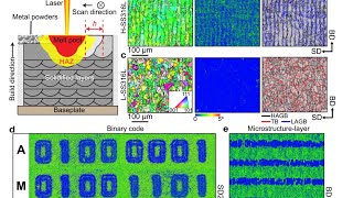 3D Printing News Unpeeled: Programmable Microstructure, Medicated Ear Stents