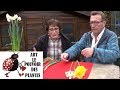 Tuto jardin plante toxique bon  savoir le narcisse jonquille toxique pour bb vivace