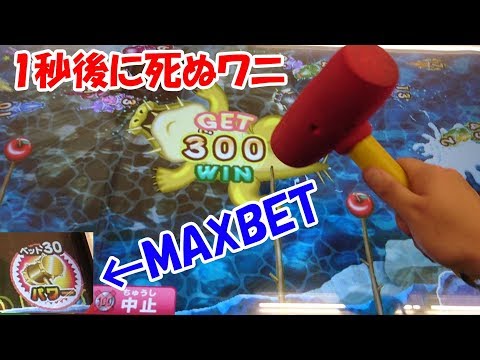 【1秒後に死ぬワニ】台パン公認台でワニをMAXBETでしばきまくった