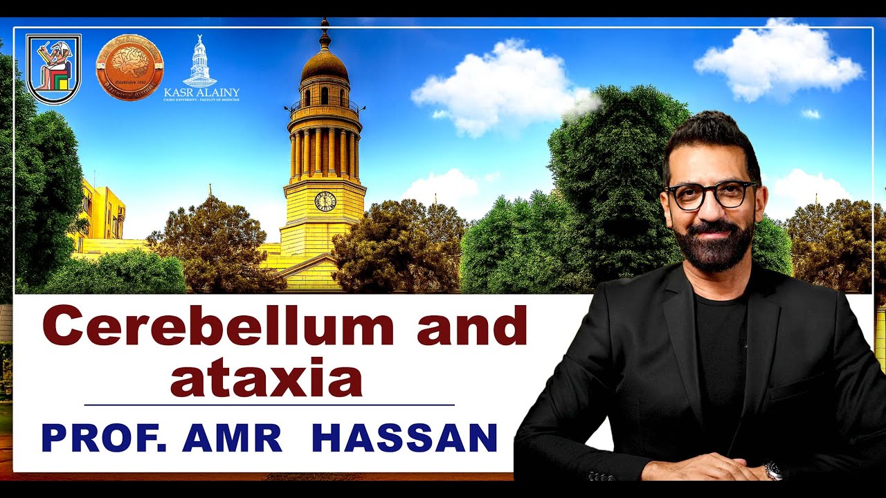 Cerebellum and ataxia-أ.د.عمرو حسن الحسني أستاذ المخ والأعصاب