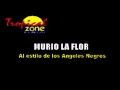 Karaoke Murio La Flor Angeles Negros.avi