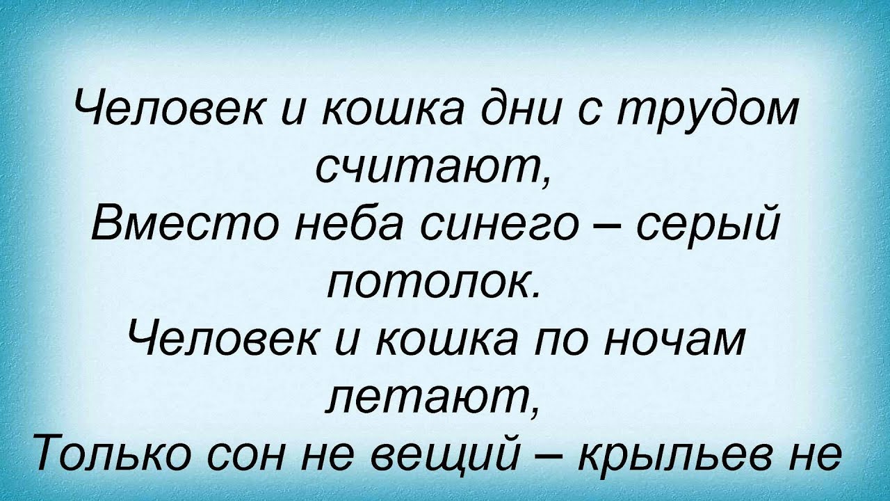 Песня кошечки текст. Человек и кошка текст. Человек и кошка текст песни. Человек и кошка песня текст. Песни про кошек текст.