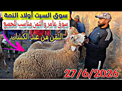 مباشرة من سوق السبت أولاد النمة الخروف الكسابي والحولي والحولية والنعجة تاريخ27/6/2026 فرجة ممتعة 🐑🐑