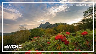 Why Fall At Grandfather Mountain Is A Must-See