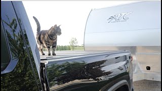 8  Ways We Beat The Heat In An RV With Cats #atctoyhauler by Geographically Free 577 views 1 year ago 7 minutes, 34 seconds