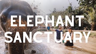 Interacting with Elephants in Thailand: NO RIDING ALLOWED by Aaron and Amanda 66 views 10 months ago 8 minutes, 1 second