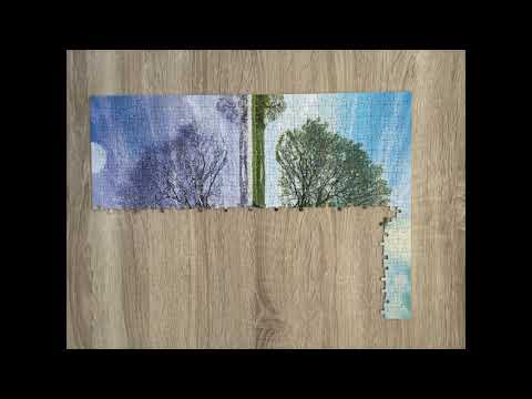 Four Seasons (Schmidt) puzzle - 500 pieces